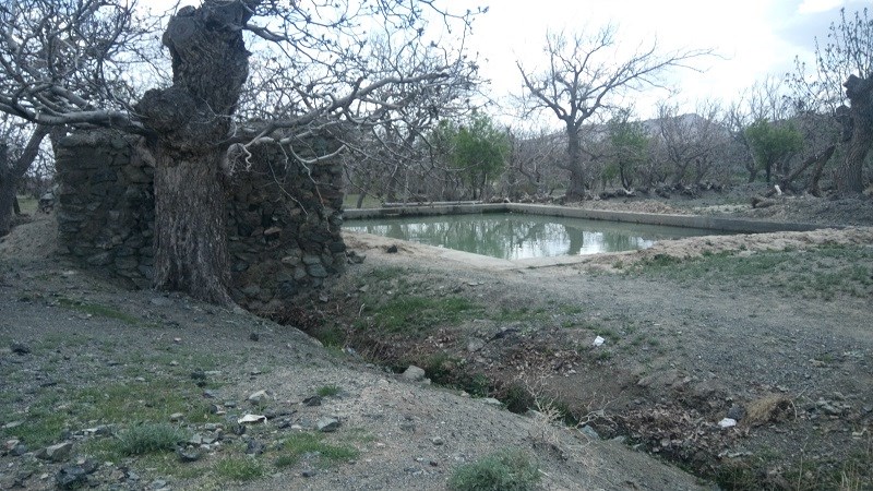 حوضچه کنار قنات روستا